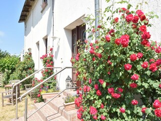 Appartement Bastorf Buitenaudio-opname 11