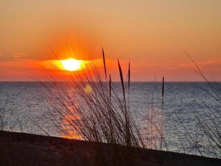 Apartment Bastorf Umgebung 35