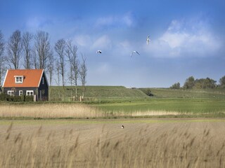 Vakantiehuis Wissenkerke Buitenaudio-opname 5