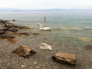 Appartement Pozzolengo Omgeving 32