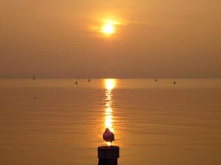 Appartement Pozzolengo Omgeving 30