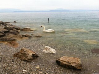 Appartement Pozzolengo Environnement 32