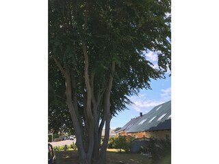 Ansicht Südseite