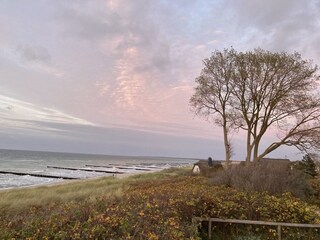 Ahrenshoop