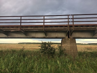 Alte Bahntrasse nach Barth