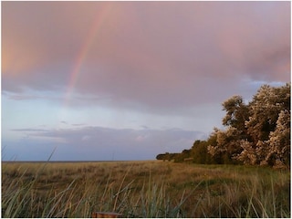 Am Bodden