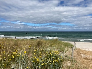 Strand Kiek Över