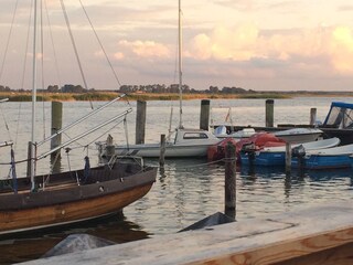 Boddenhafen Zingst