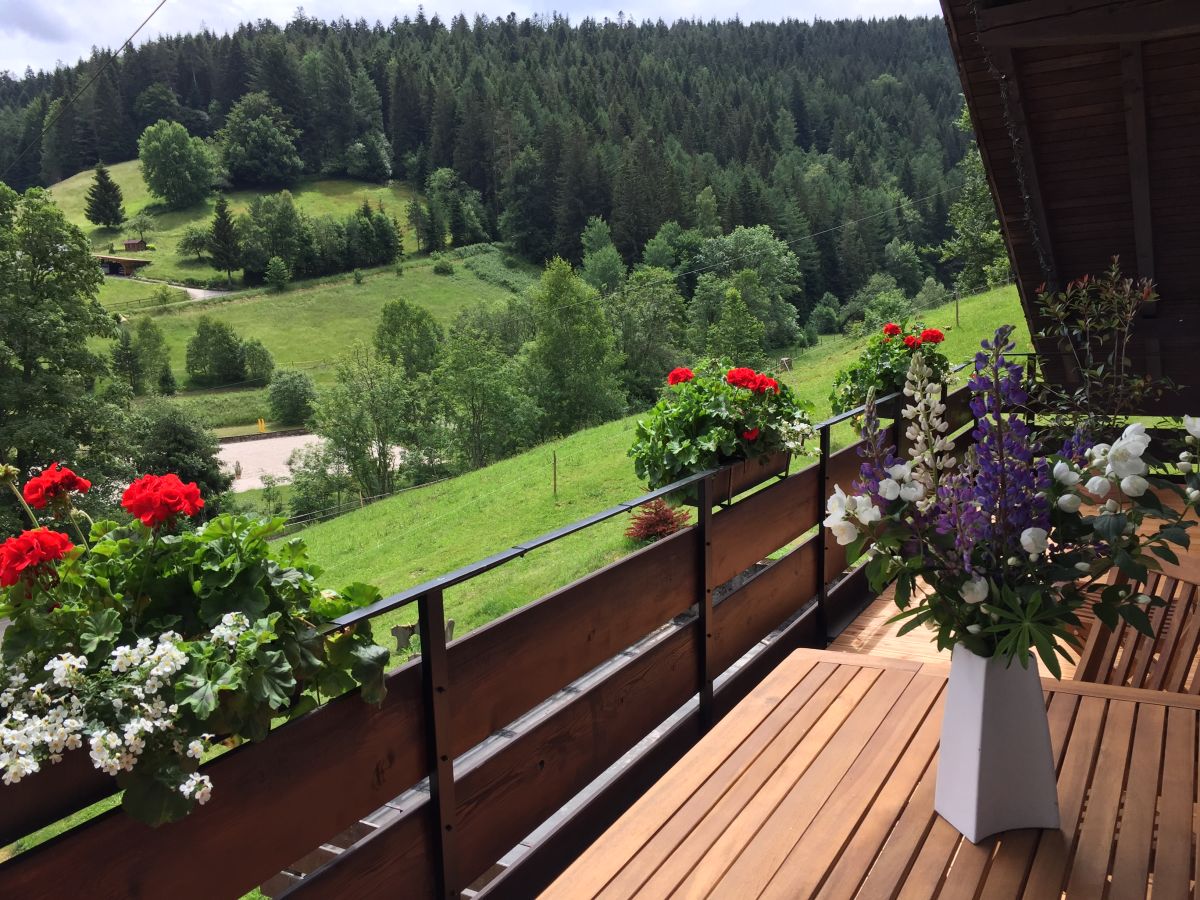 Ausblick vom Balkon