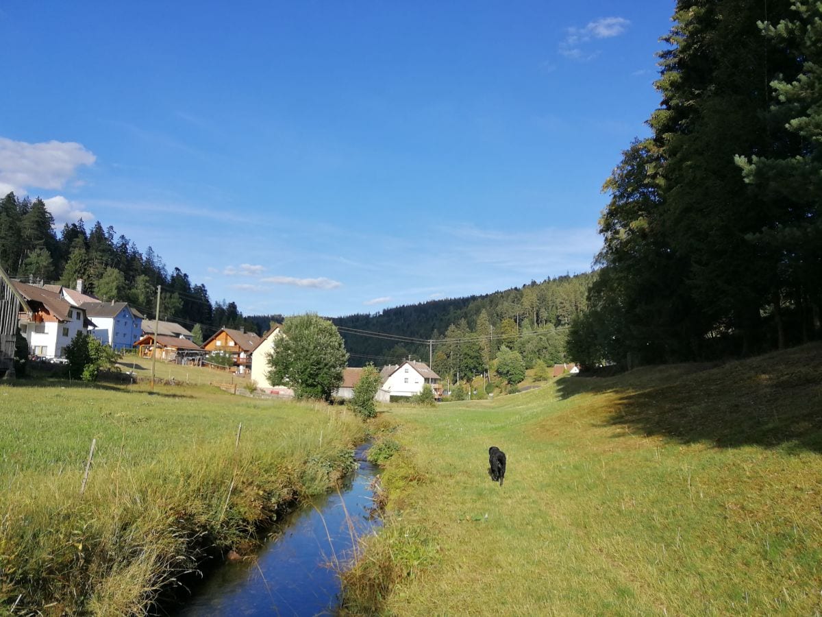 Kaltenbach unterhalb vom Haus