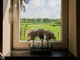 Apartment Eijsden Outdoor Recording 5