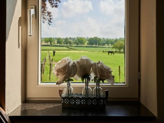 Appartement Eijsden Buitenaudio-opname 7