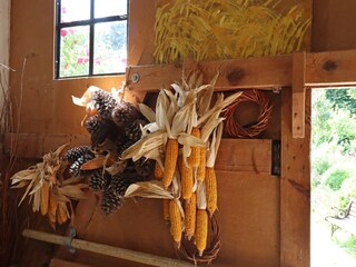 Appartement Altenpleen  38