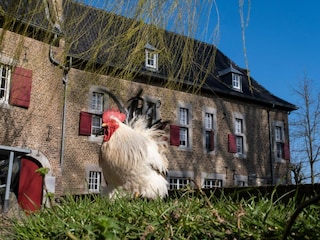 Appartement Eijsden  30
