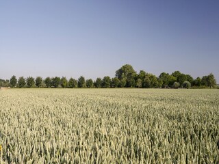 Appartement Eijsden Omgeving 25