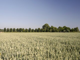 Appartamento Eijsden Ambiente 26