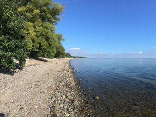 Appartement de vacances Steinberg (Angeln) Environnement 17