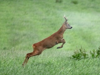 Appartamento per vacanze Steinberg (Angeln) Ambiente 19