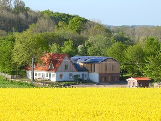 Appartement de vacances Steinberg (Angeln) Environnement 16