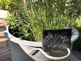 Appartement de vacances Steinberg (Angeln) Enregistrement extérieur 6