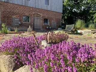 Appartamento per vacanze Steinberg (Angeln) Registrazione all'aperto 3