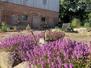 Appartement de vacances Steinberg (Angeln) Enregistrement extérieur 3