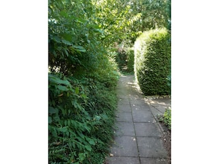 Weg zum Hauseingang - 3 Eingang