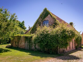 Holiday house Stadt Usedom Outdoor Recording 5