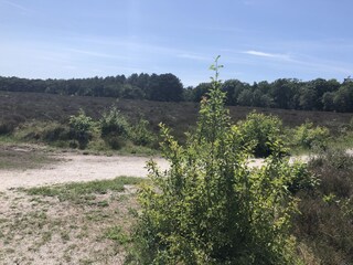 Villa Bergen (Holland) Ambiente 33