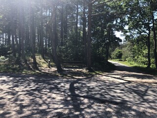 Villa Bergen (Holland) Ambiente 34