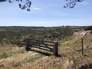 Villa Bergen (Holland) Ambiente 39