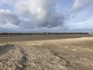 Villa Bergen (Holland) Ambiente 40