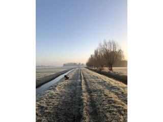 Villa Bergen (Holland) Buitenaudio-opname 16