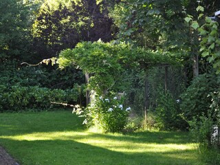 Villa Bergen (Holland) Outdoor Recording 9