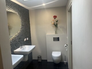 Villa Bergen (Holland) Caratteristiche 29