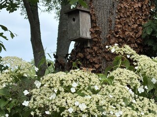 Viele Vögel und Schmetterlinge zum sehen und hören