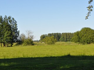 Villa Bergen (Holland) Ambiente 31