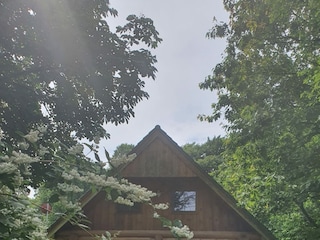 Blockhaus zwischen Nordsee und NOK
