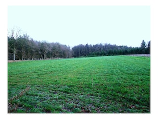 Ferienhaus Nordhastedt Umgebung 34