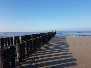 Appartement de vacances Oostkapelle Environnement 39