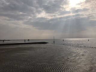 Wattenmeer