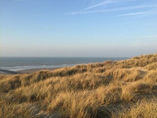 Ferienhaus Bredene Umgebung 22