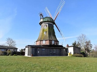 Appartement Steffenshagen Omgeving 31