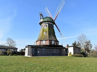 Appartamento Steffenshagen Ambiente 28