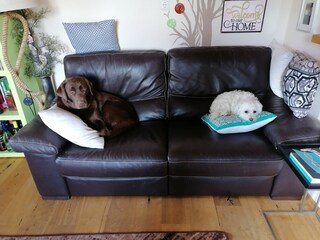 Apartment Piesendorf  24