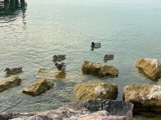 Appartement Pozzolengo Environnement 39