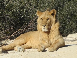 Casa per le vacanze Gruissan Ambiente 19