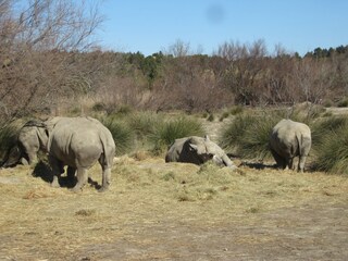 Casa per le vacanze Gruissan Ambiente 20