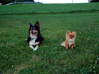 Appartamento per vacanze Zell am Ziller Ambiente 29