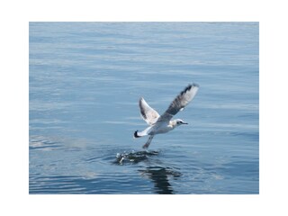 Barco casa Lübeck-Schlutup Grabación al aire libre 18